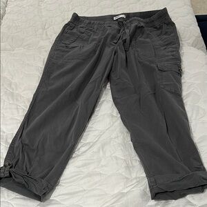Sonoma Gray Women's Pants